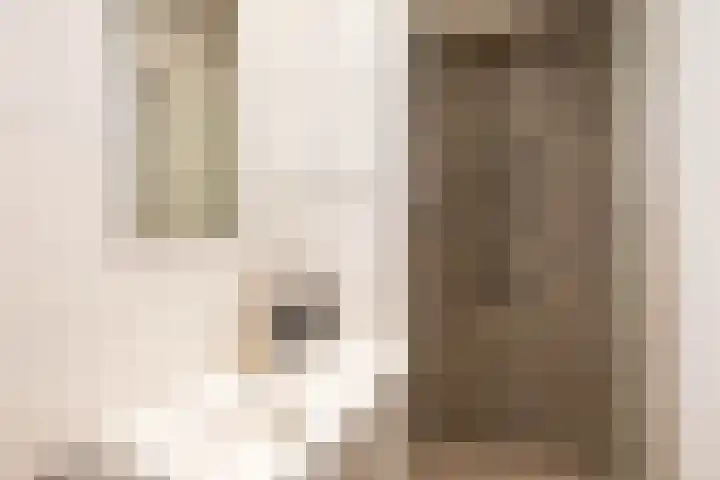 Gaykingastraat 14 Ten Boer thumbnail 28