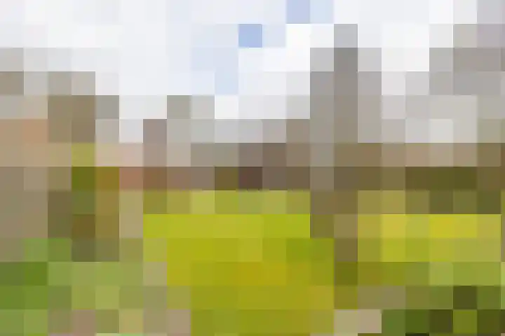Gaykingastraat 14 Ten Boer foto 3