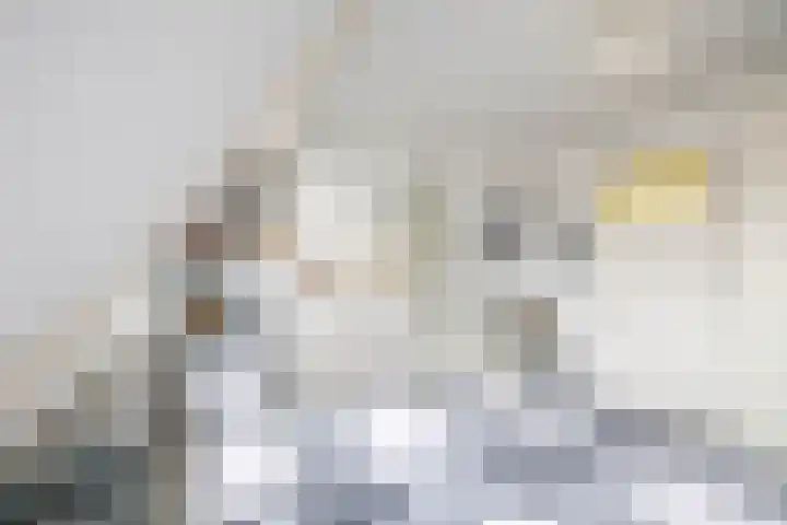Gaykingastraat 14 Ten Boer thumbnail 43