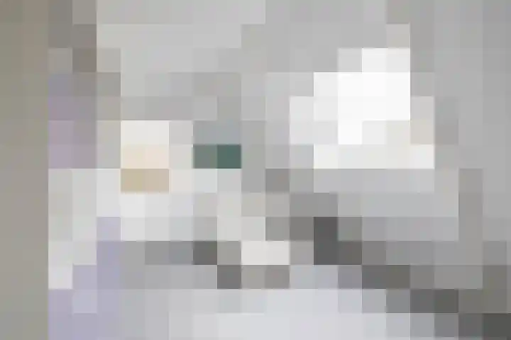 Gaykingastraat 14 Ten Boer thumbnail 44