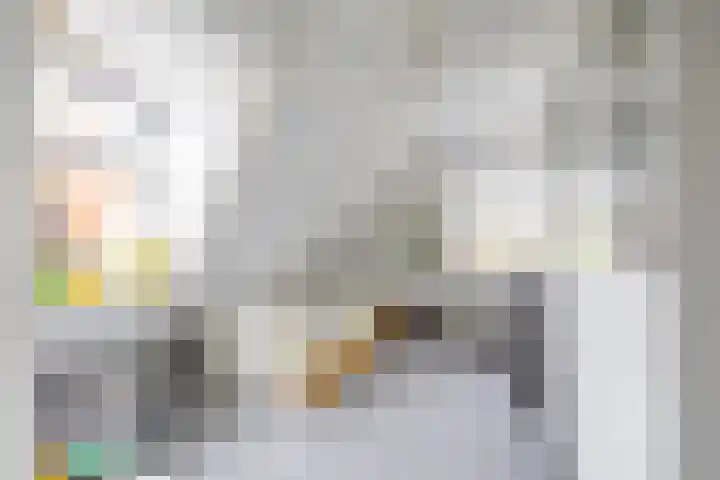 Gaykingastraat 14 Ten Boer thumbnail 46