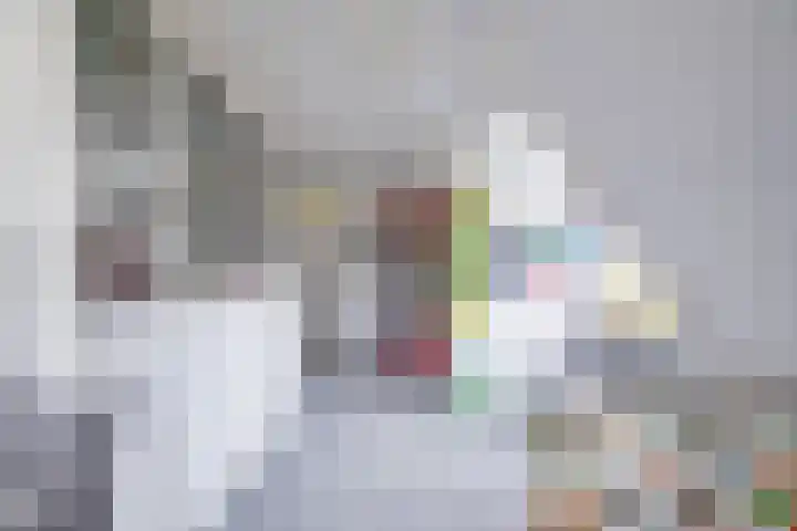 Gaykingastraat 14 Ten Boer thumbnail 47