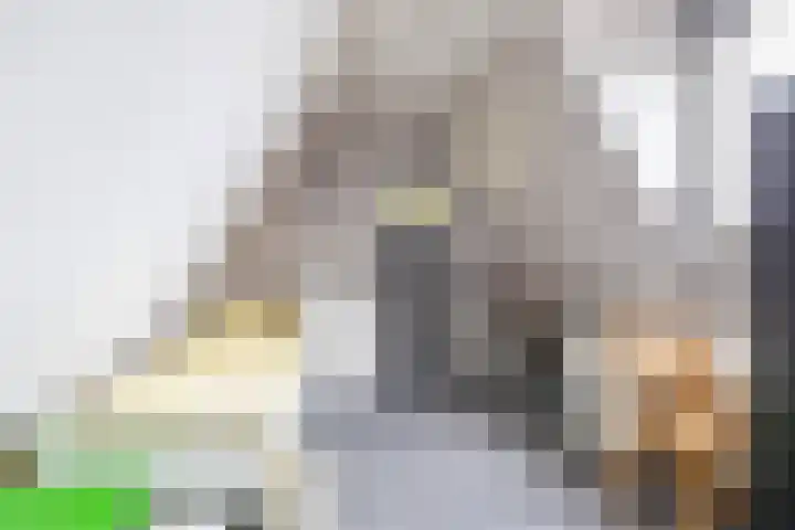 Gaykingastraat 14 Ten Boer thumbnail 51