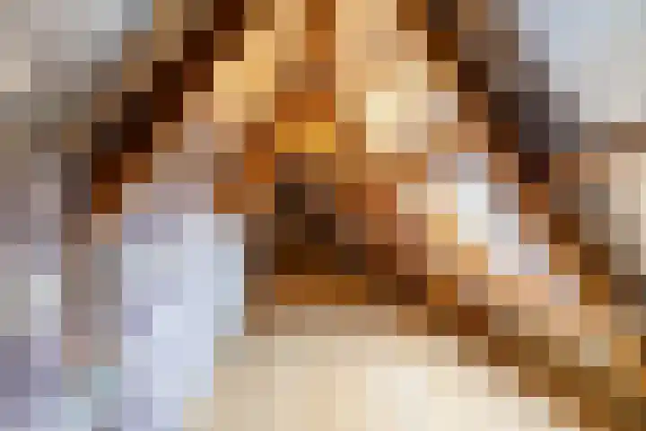Gaykingastraat 14 Ten Boer thumbnail 58