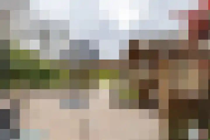 Gaykingastraat 14 Ten Boer thumbnail 63
