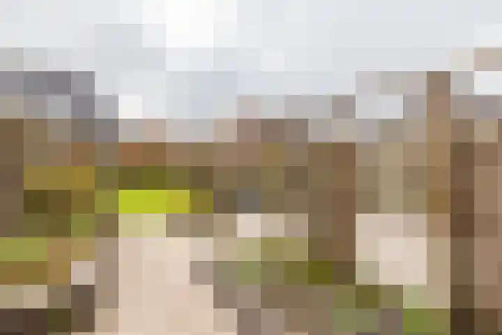 Gaykingastraat 14 Ten Boer thumbnail 64