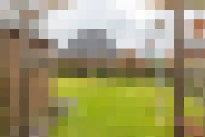 Gaykingastraat 14 Ten Boer thumbnail 66