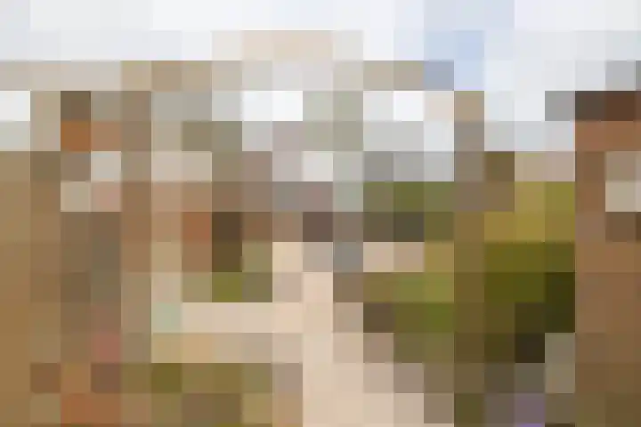 Gaykingastraat 14 Ten Boer thumbnail 67