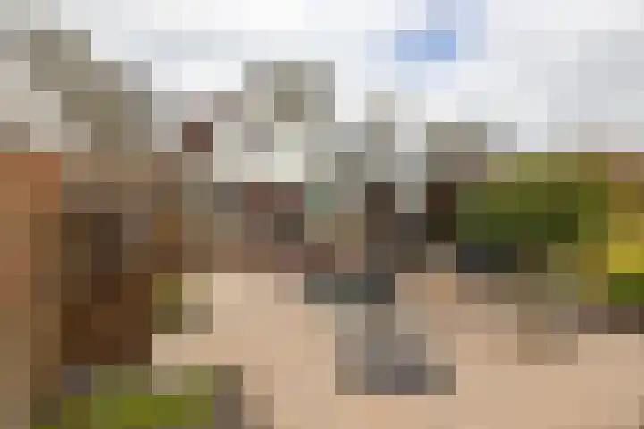 Gaykingastraat 14 Ten Boer thumbnail 68