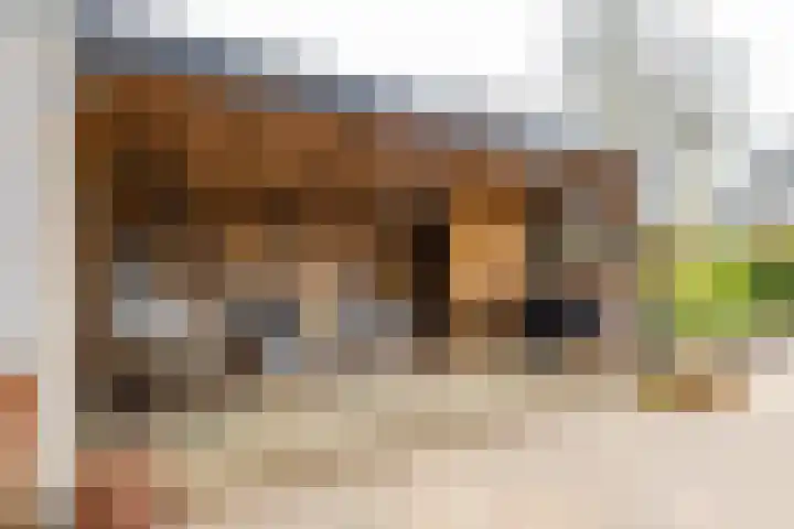 Gaykingastraat 14 Ten Boer thumbnail 70