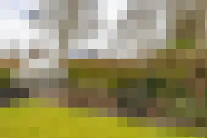 Gaykingastraat 14 Ten Boer thumbnail 72