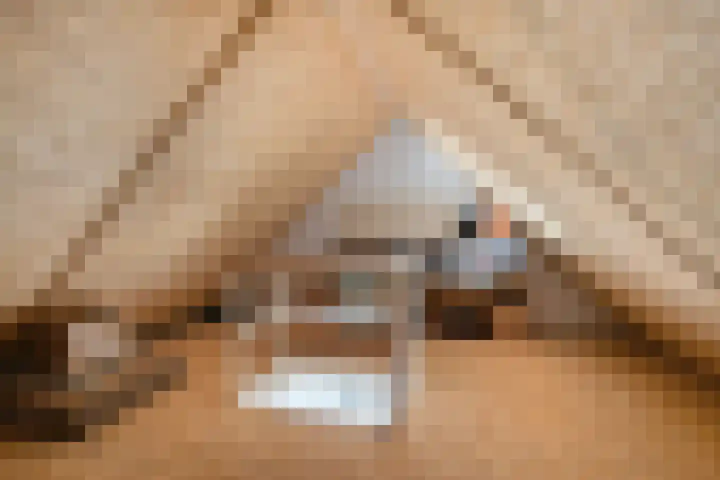 Gaykingastraat 26 Ten Boer thumbnail 31