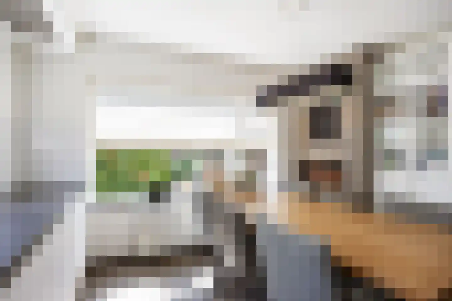 Gaykingastraat 29 Ten Boer thumbnail 14