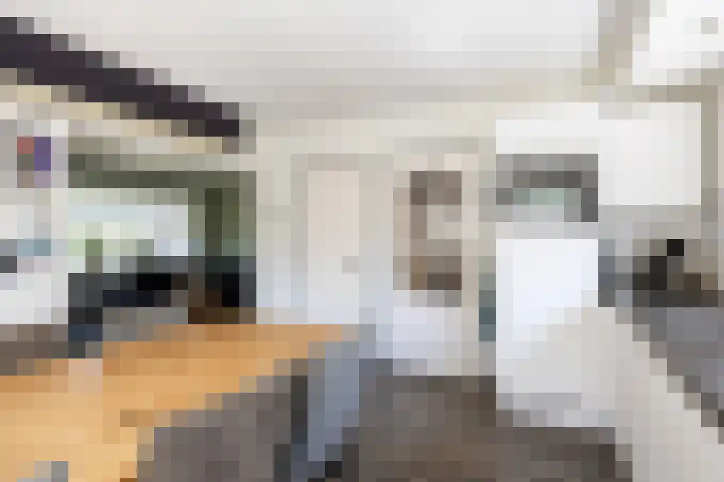 Gaykingastraat 29 Ten Boer thumbnail 16