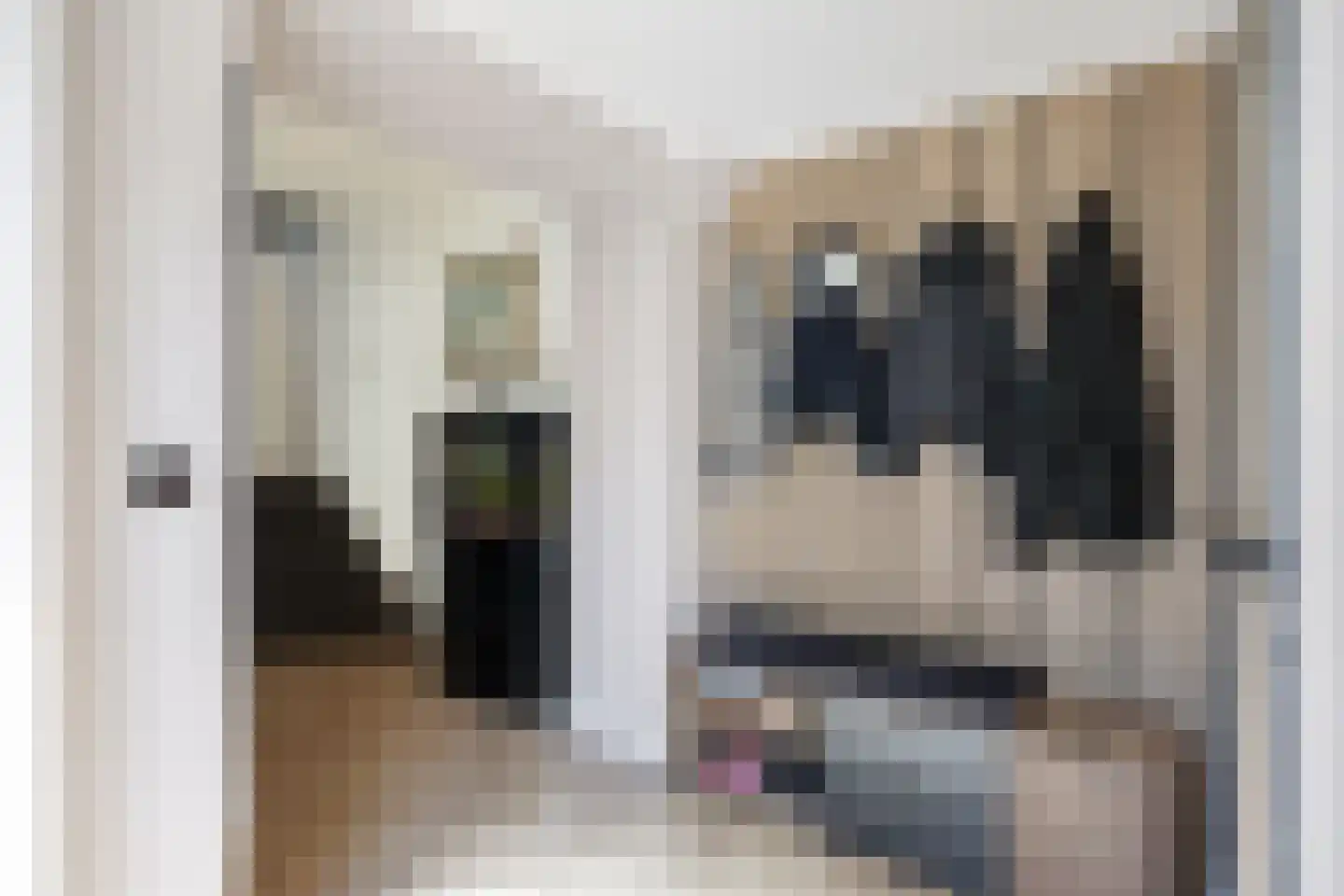Gaykingastraat 29 Ten Boer thumbnail 18