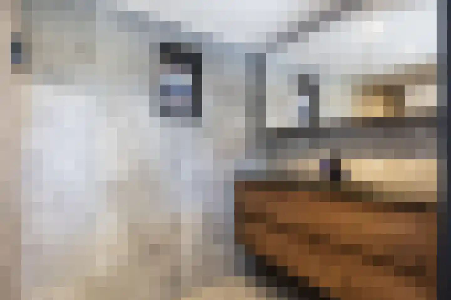 Gaykingastraat 29 Ten Boer thumbnail 24