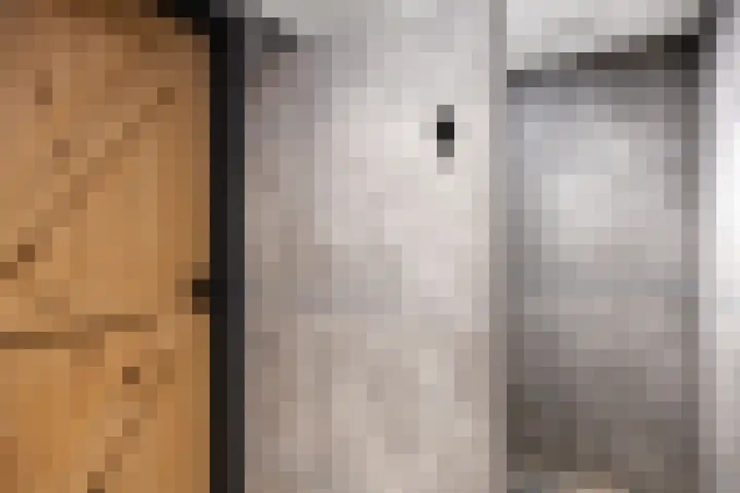 Gaykingastraat 29 Ten Boer thumbnail 25
