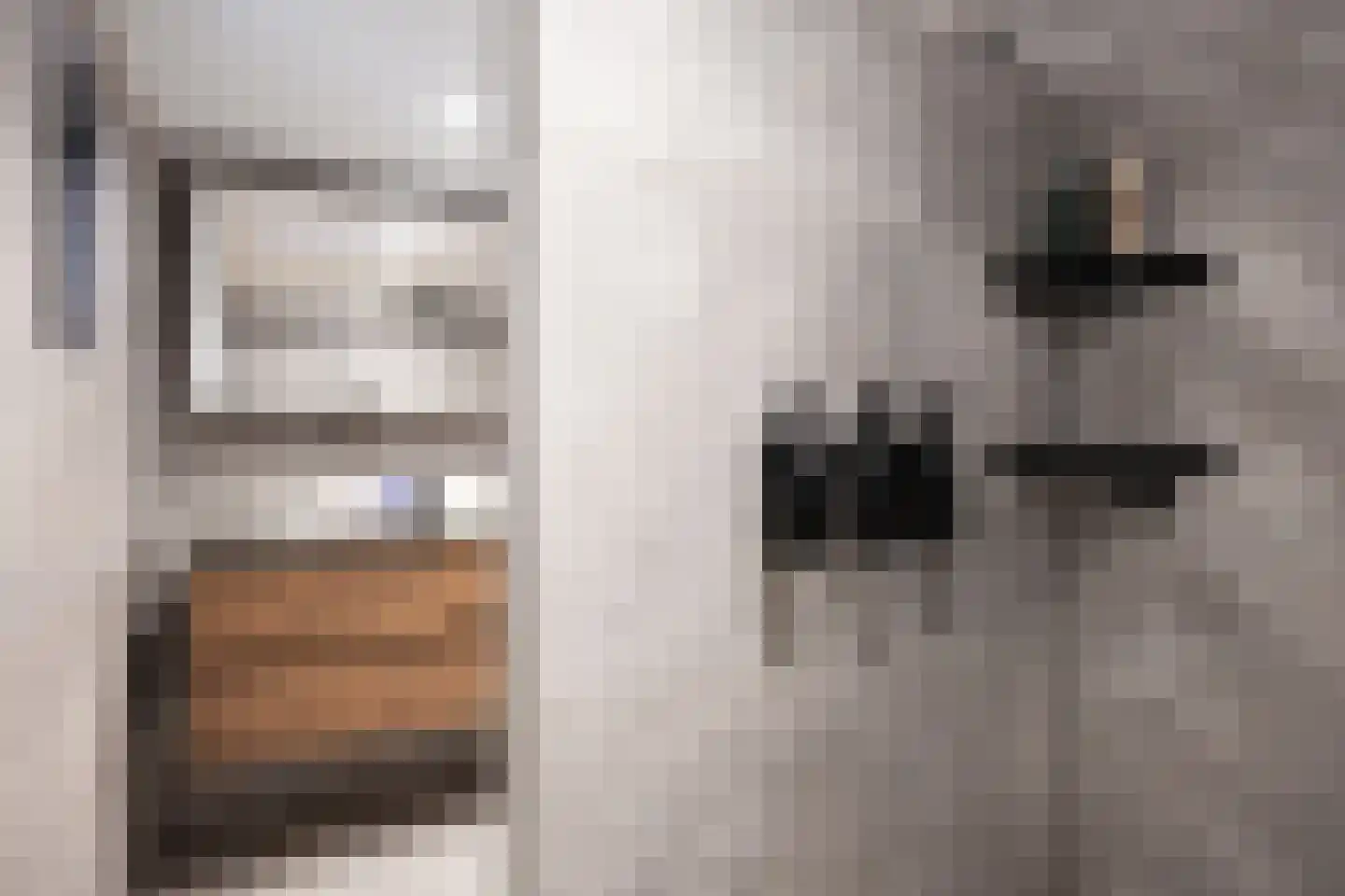 Gaykingastraat 29 Ten Boer thumbnail 27