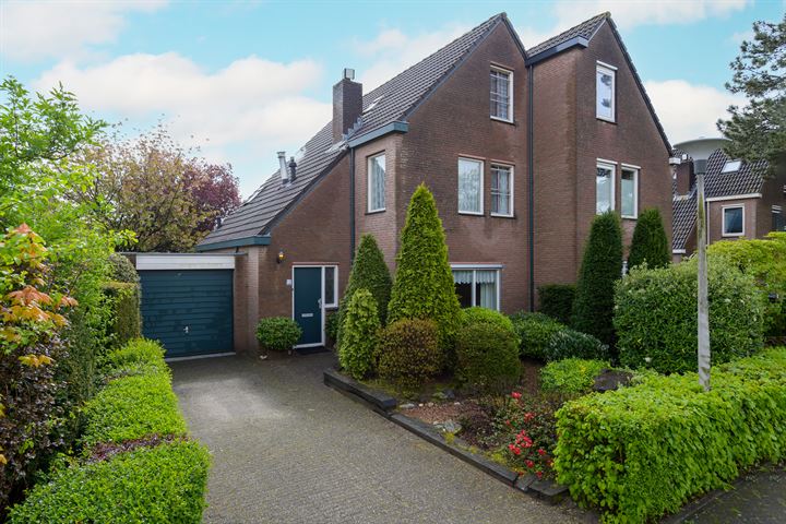 Gazelle 12 in Huizen foto