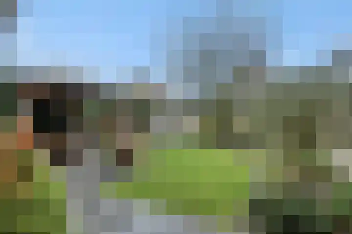 Gazellelaan 31 Helmond thumbnail 37
