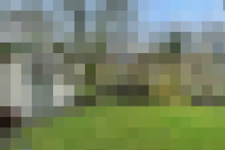 Gazellelaan 31 Helmond thumbnail 41