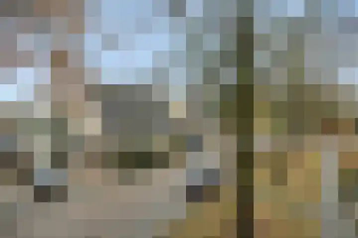 Gazellelaan 31 Helmond thumbnail 5