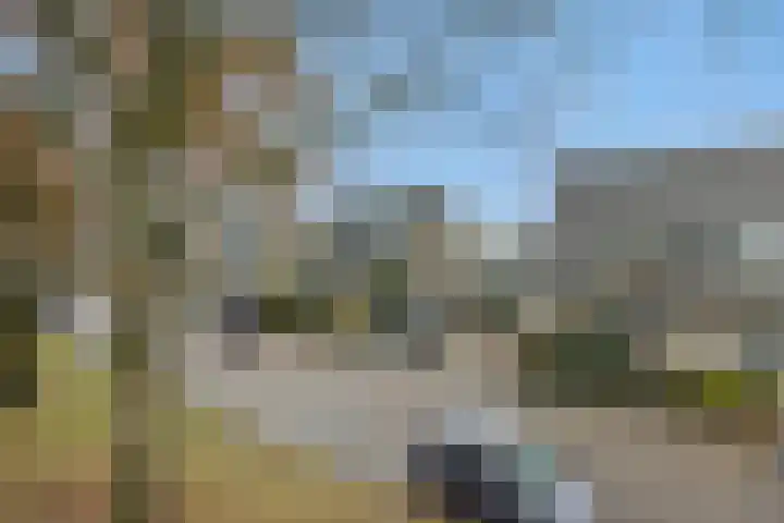 Gazellelaan 31 Helmond thumbnail 8
