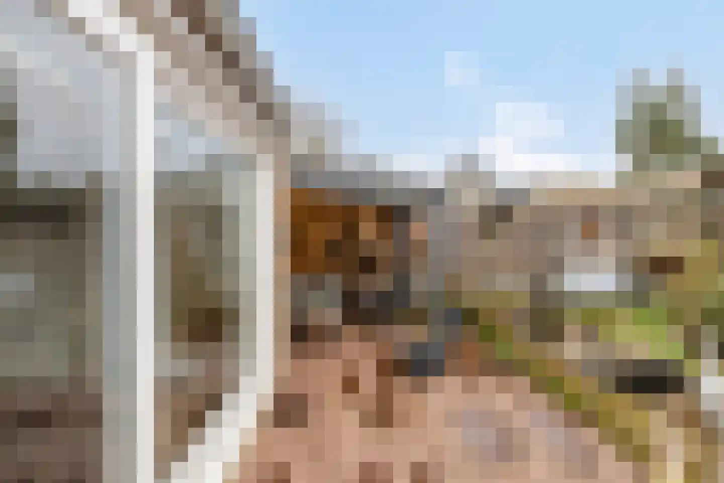 Gazellelaan 5 Helmond thumbnail 30