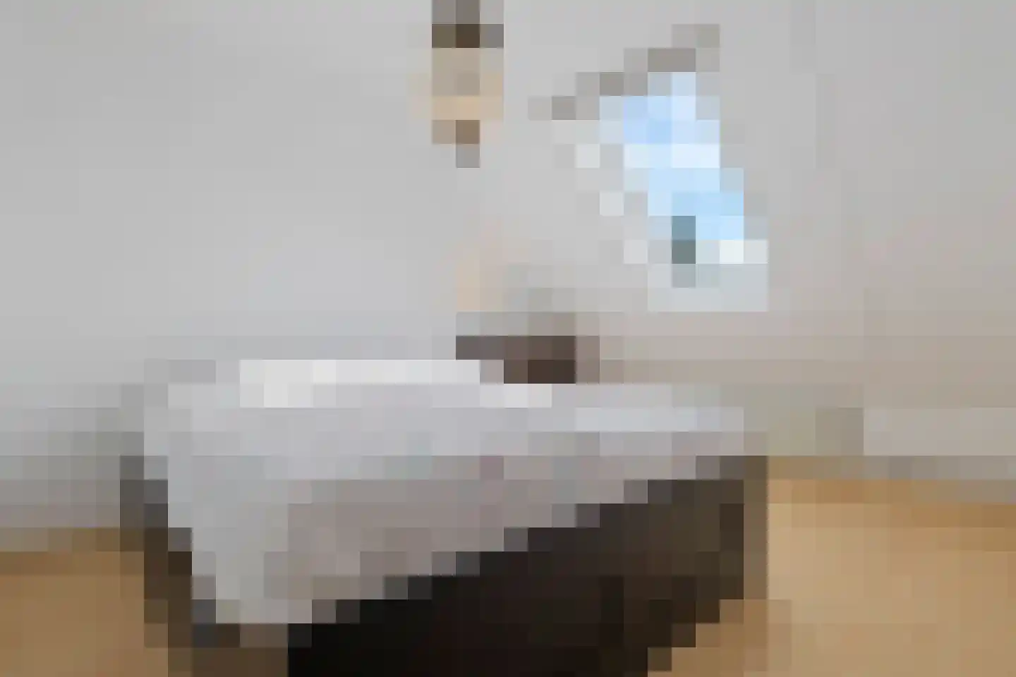 Gazellelaan 5 Helmond thumbnail 32