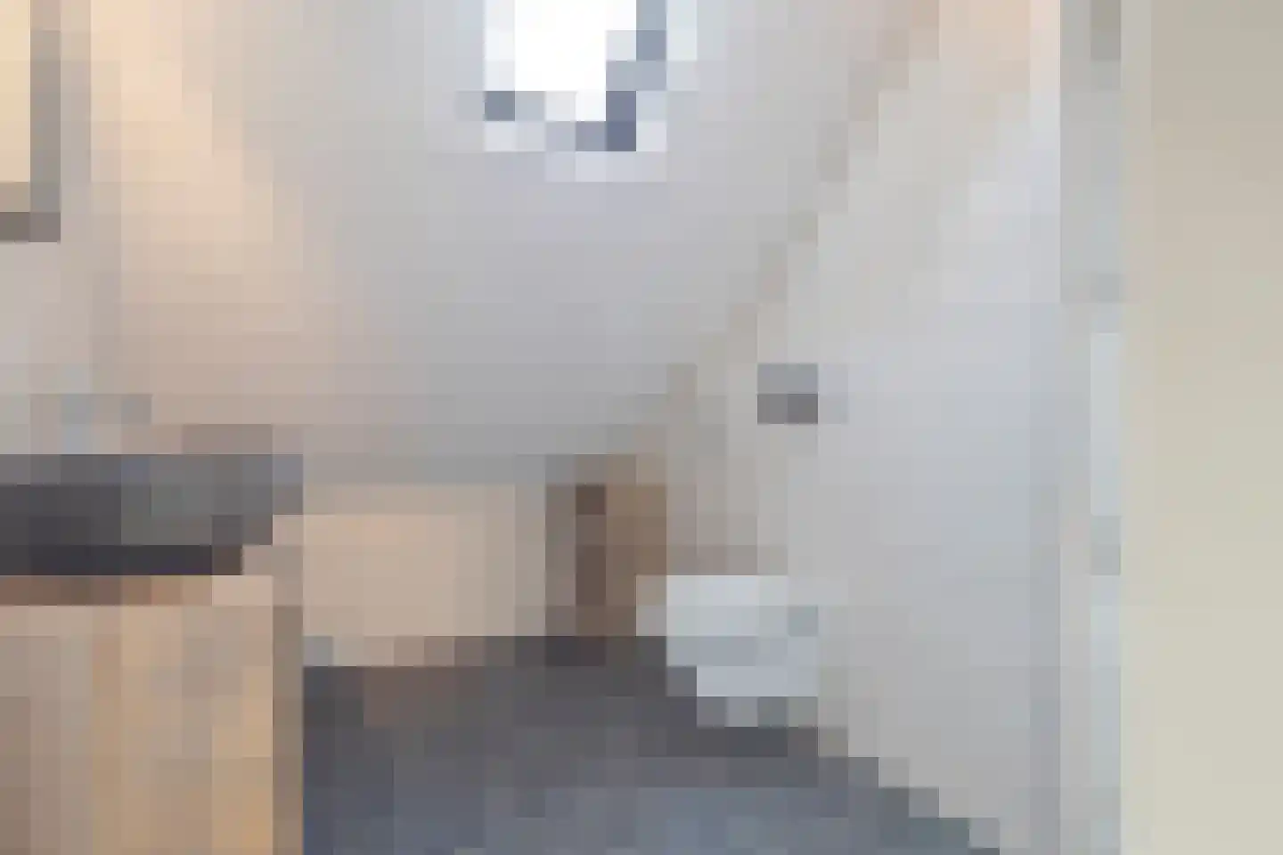 Gazellelaan 5 Helmond thumbnail 38