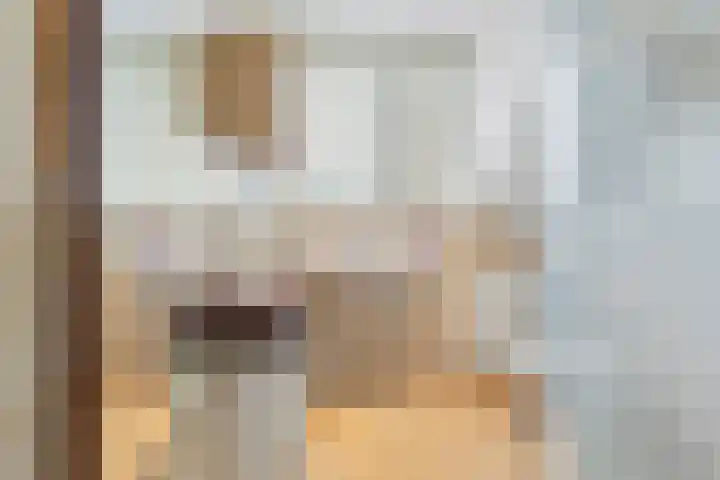 Gazellelaan 9 Helmond thumbnail 33