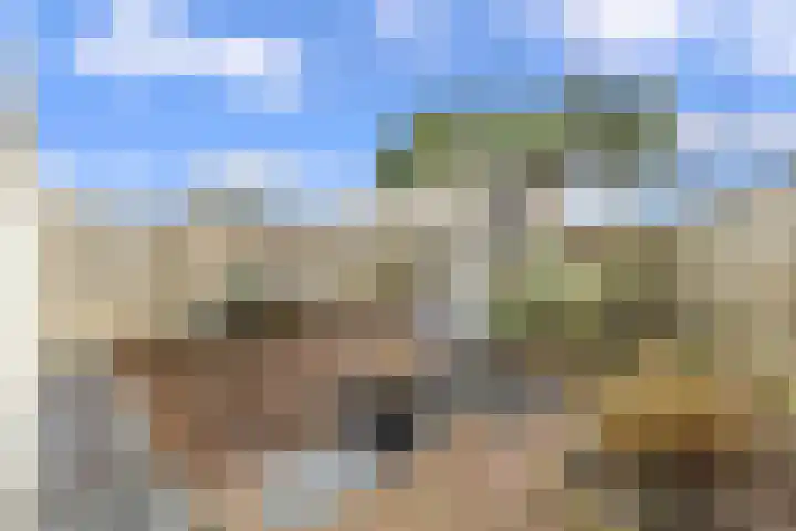 Gazellelaan 9 Helmond thumbnail 38