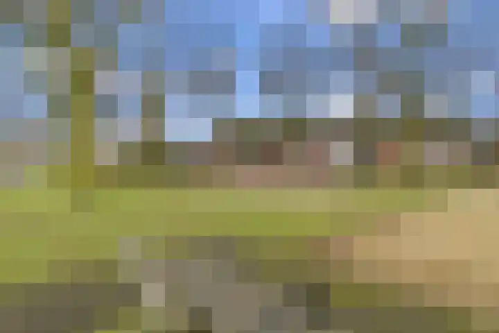 Gazellelaan 9 Helmond thumbnail 42