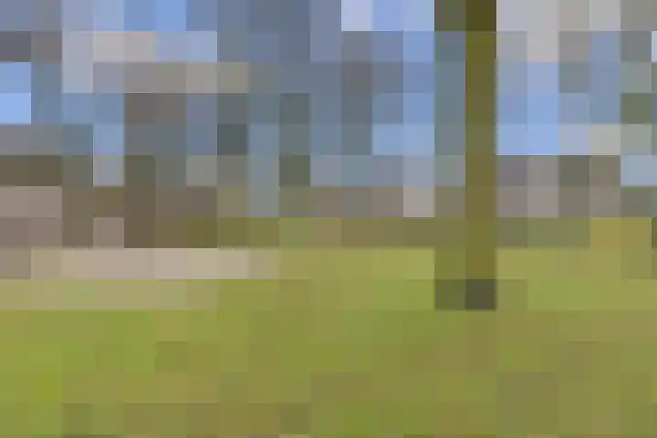 Gazellelaan 9 Helmond thumbnail 43