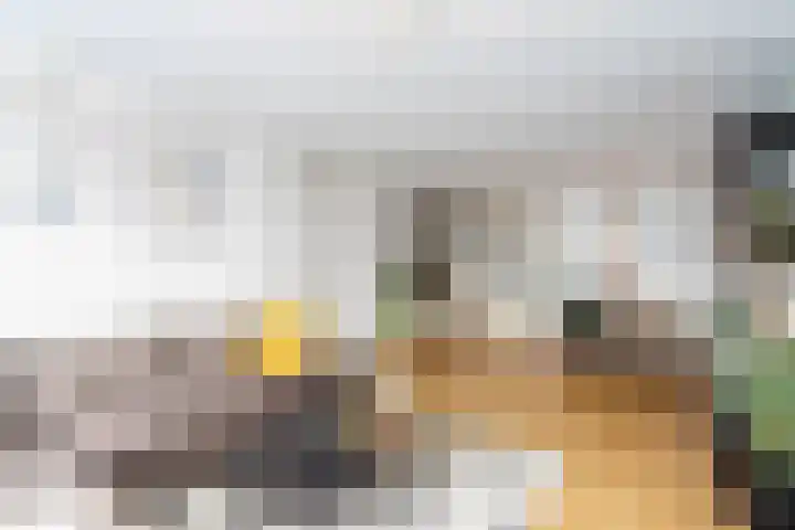 Gazellestraat 102 Utrecht thumbnail 6