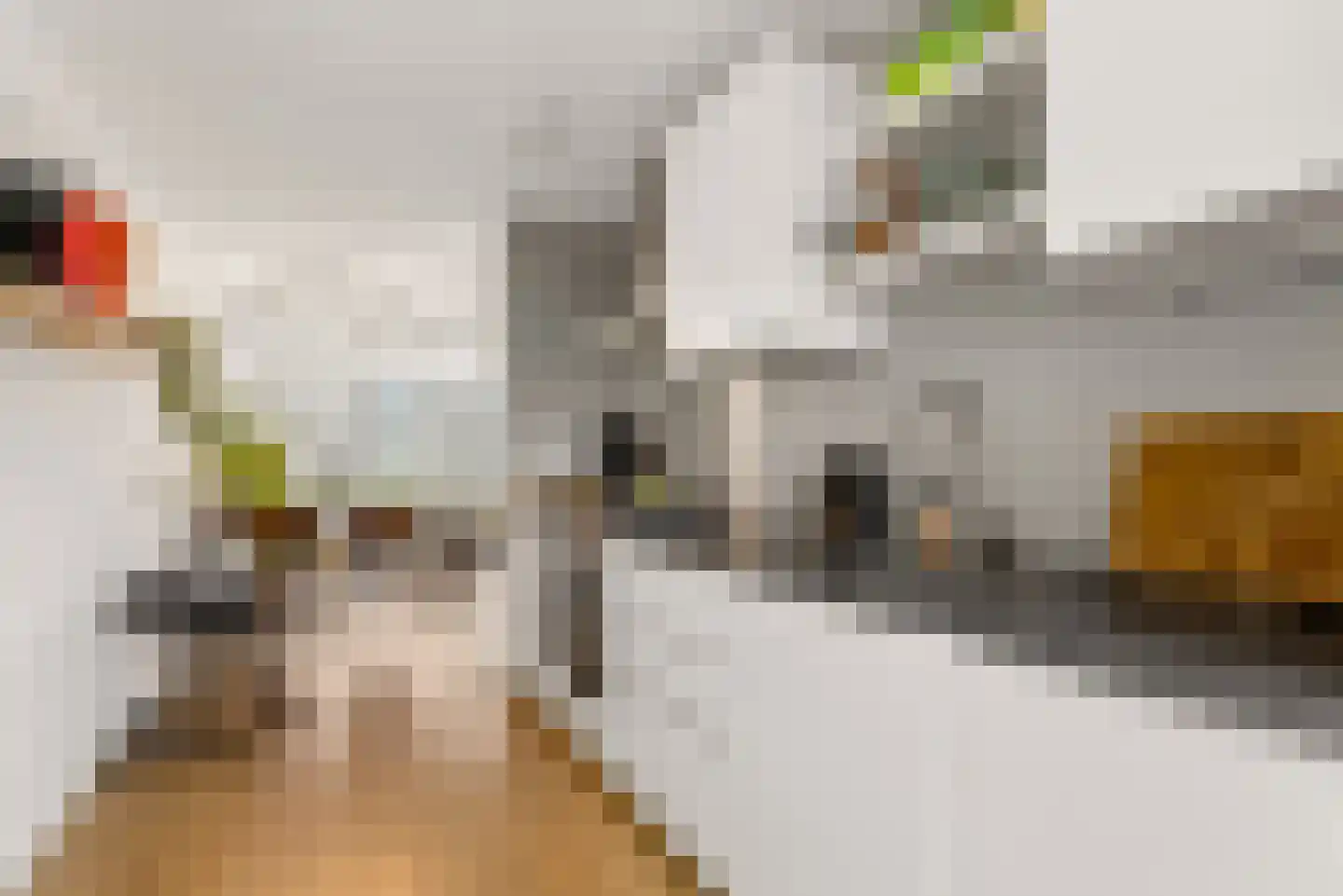 Gazellestraat 114 Utrecht thumbnail 4