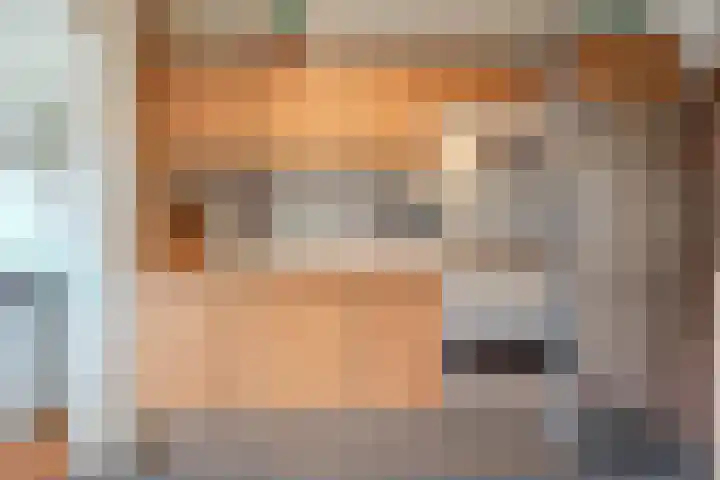 Gazellestraat 12 Volkel thumbnail 14