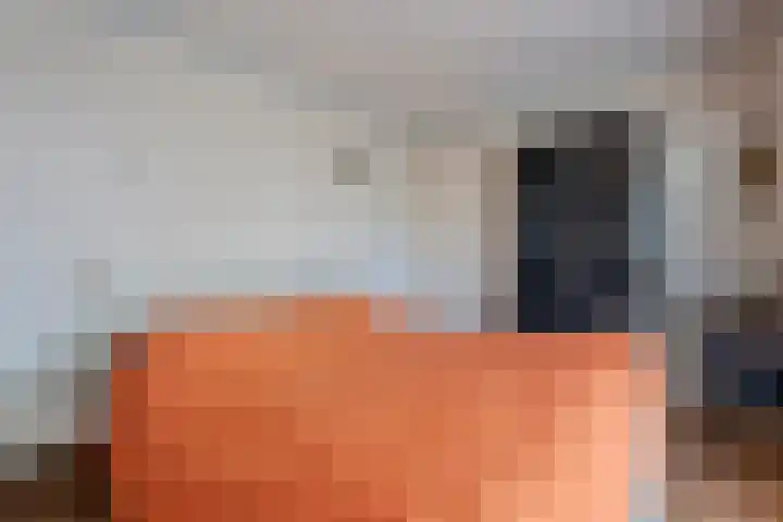 Gazellestraat 12 Volkel thumbnail 20