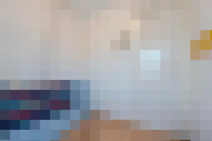 Gazellestraat 12 Volkel thumbnail 25