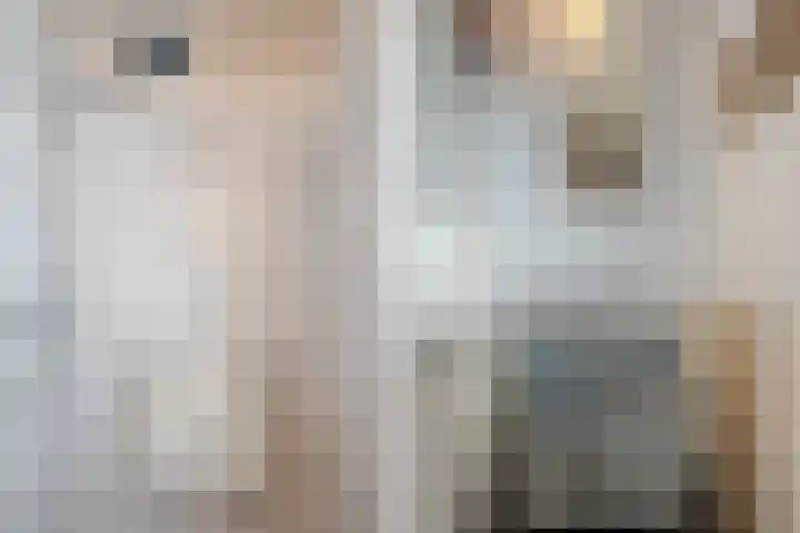 Gazellestraat 12 Volkel thumbnail 28