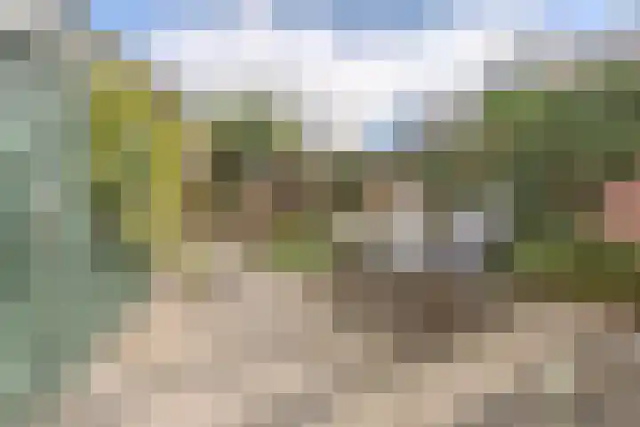 Gazellestraat 12 Volkel thumbnail 31