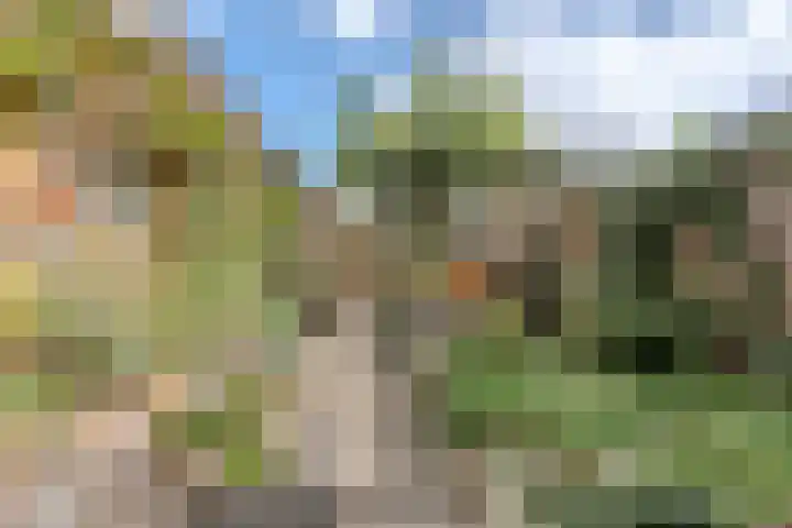 Gazellestraat 12 Volkel thumbnail 32
