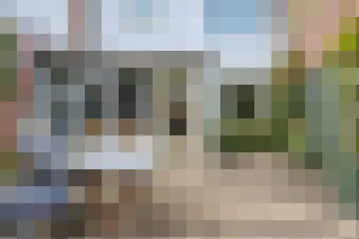 Gazellestraat 12 Volkel thumbnail 34