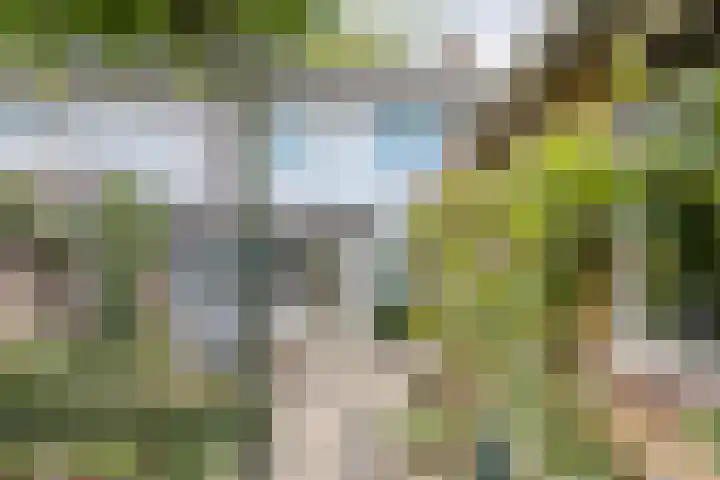 Gazellestraat 12 Volkel thumbnail 5