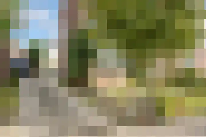 Gazellestraat 12 Volkel thumbnail 6