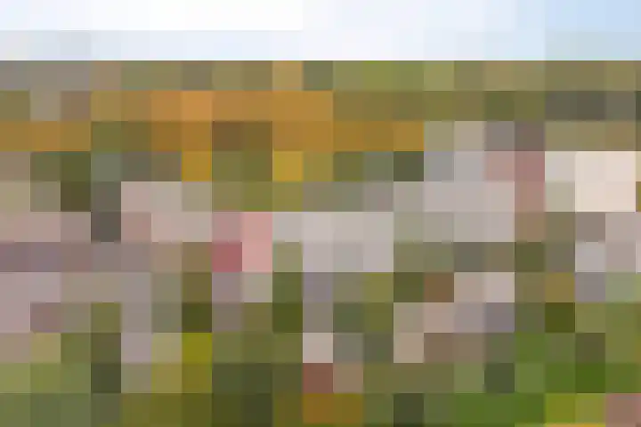 Gazellestraat 126 Utrecht
