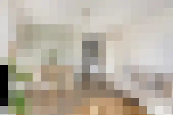 Gazellestraat 126 Utrecht thumbnail 11