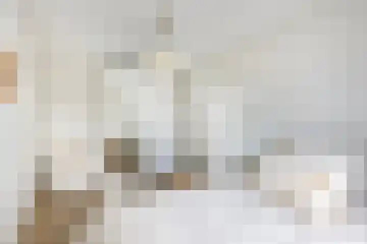 Gazellestraat 126 Utrecht thumbnail 19
