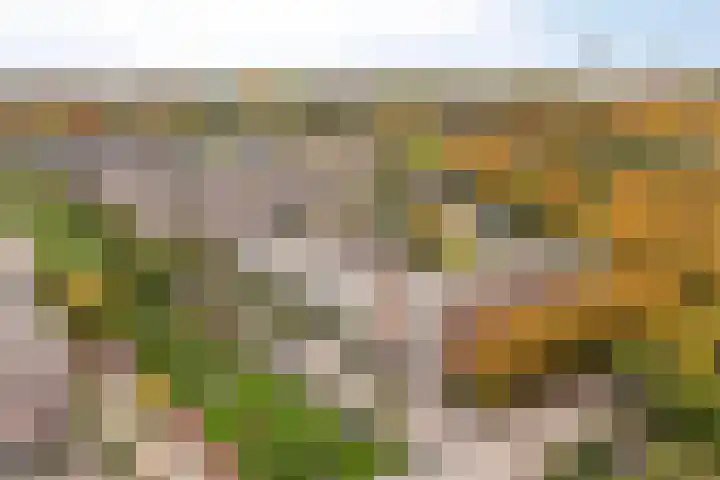 Gazellestraat 126 Utrecht thumbnail 31