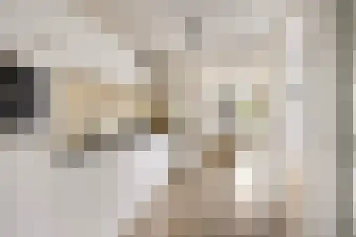 Gazellestraat 126 Utrecht thumbnail 7